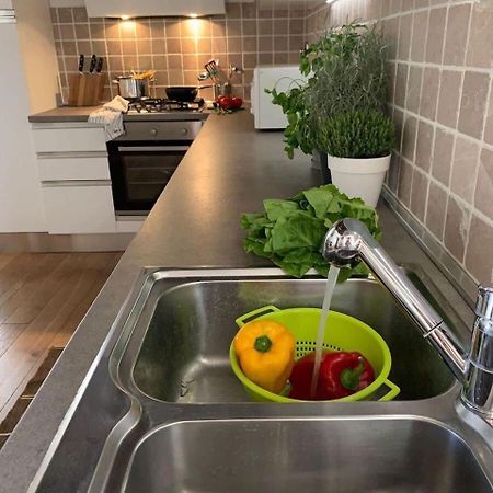 Willa The 4 Senses Experience Suvereto Zewnętrze zdjęcie
