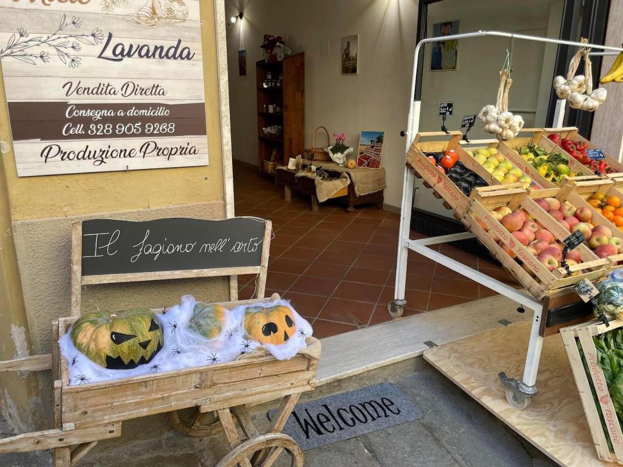 Willa The 4 Senses Experience Suvereto Zewnętrze zdjęcie