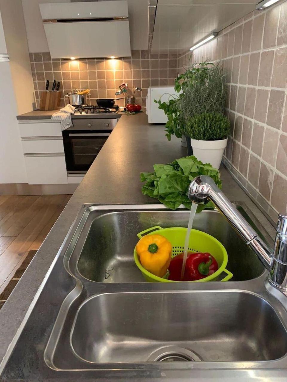 Willa The 4 Senses Experience Suvereto Zewnętrze zdjęcie
